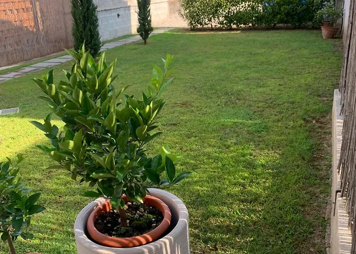 Piccola Dimora B&B